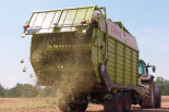 Distribution of green hay with loader wagon for grassland restoration- Germany