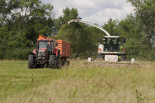 Green hay harvest with combine thresher- Germany