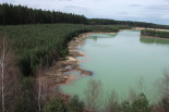 Example of near-natural restoration at shorline in contrast with forestry reclamation- Czech Republic